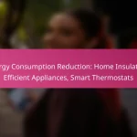 Energy Consumption Reduction: Home Insulation, Efficient Appliances, Smart Thermostats