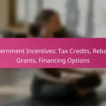 Government Incentives: Tax Credits, Rebates, Grants, Financing Options