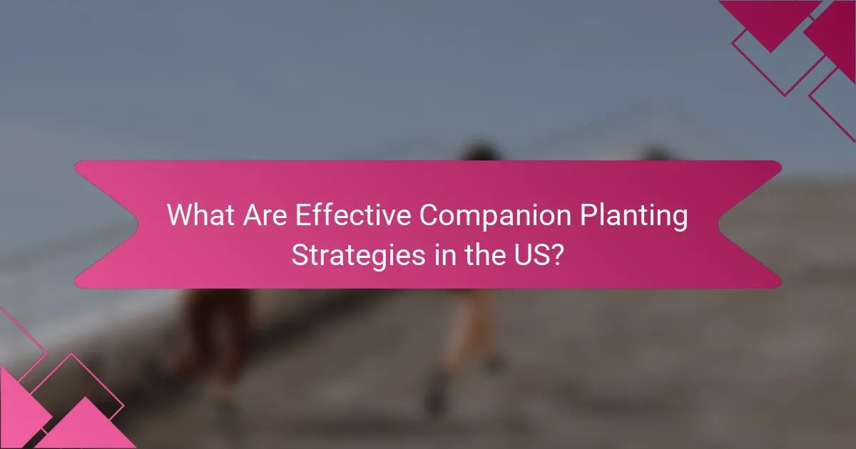 What Are Effective Companion Planting Strategies in the US?