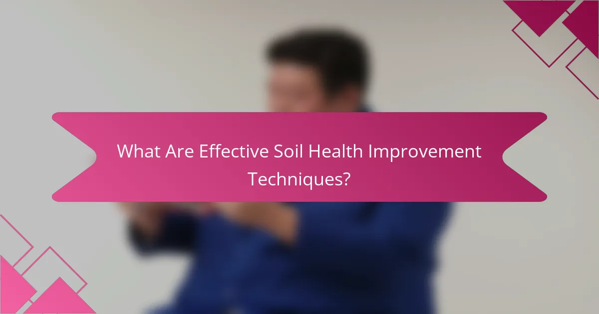 What Are Effective Soil Health Improvement Techniques?