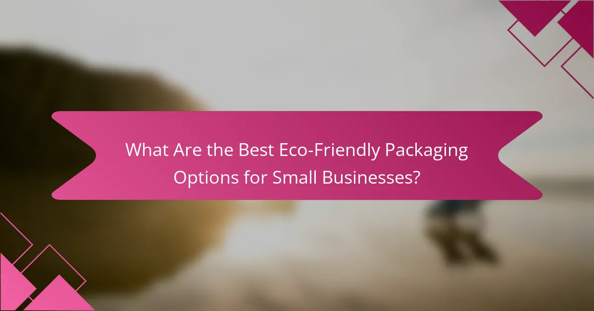 What Are the Best Eco-Friendly Packaging Options for Small Businesses?