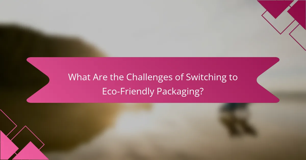 What Are the Challenges of Switching to Eco-Friendly Packaging?