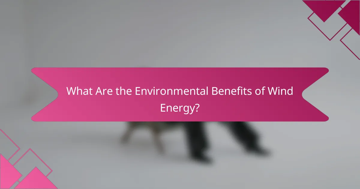 What Are the Environmental Benefits of Wind Energy?
