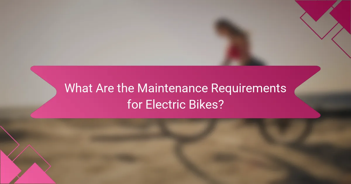 What Are the Maintenance Requirements for Electric Bikes?