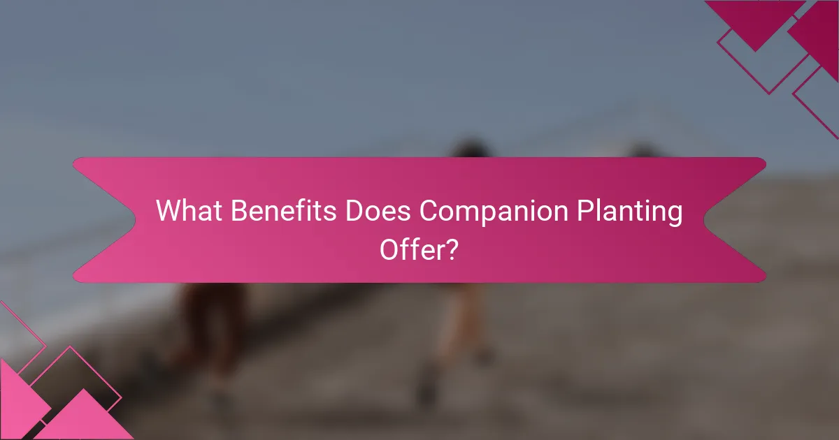 What Benefits Does Companion Planting Offer?