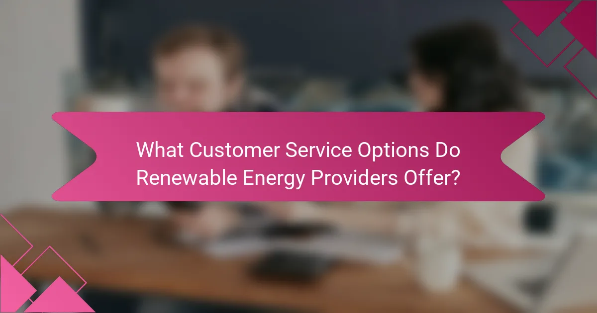 What Customer Service Options Do Renewable Energy Providers Offer?